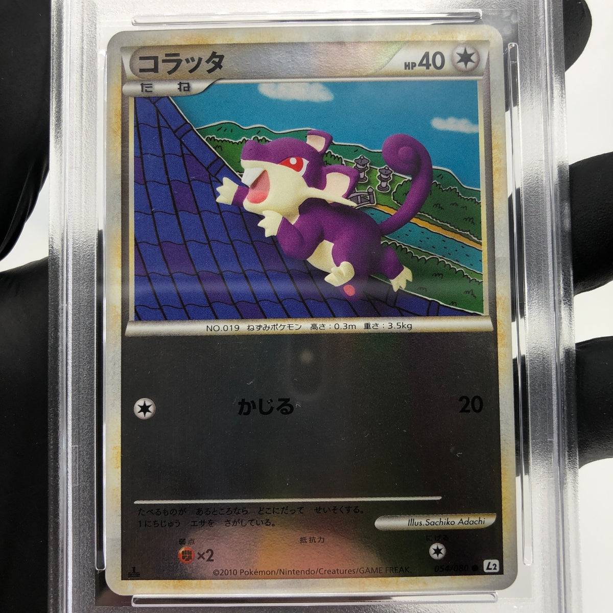 PSA 8 Pokemon Card Rattata 054/080 Reverse Foil L2 1.Edition Japanese Karte [8]