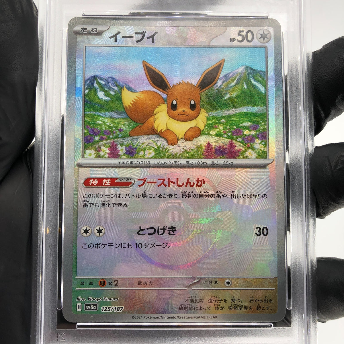 PSA 9 Pokemon Card Eevee 125/187 H SV8a Masterball Holo Japanese Karte [9]
