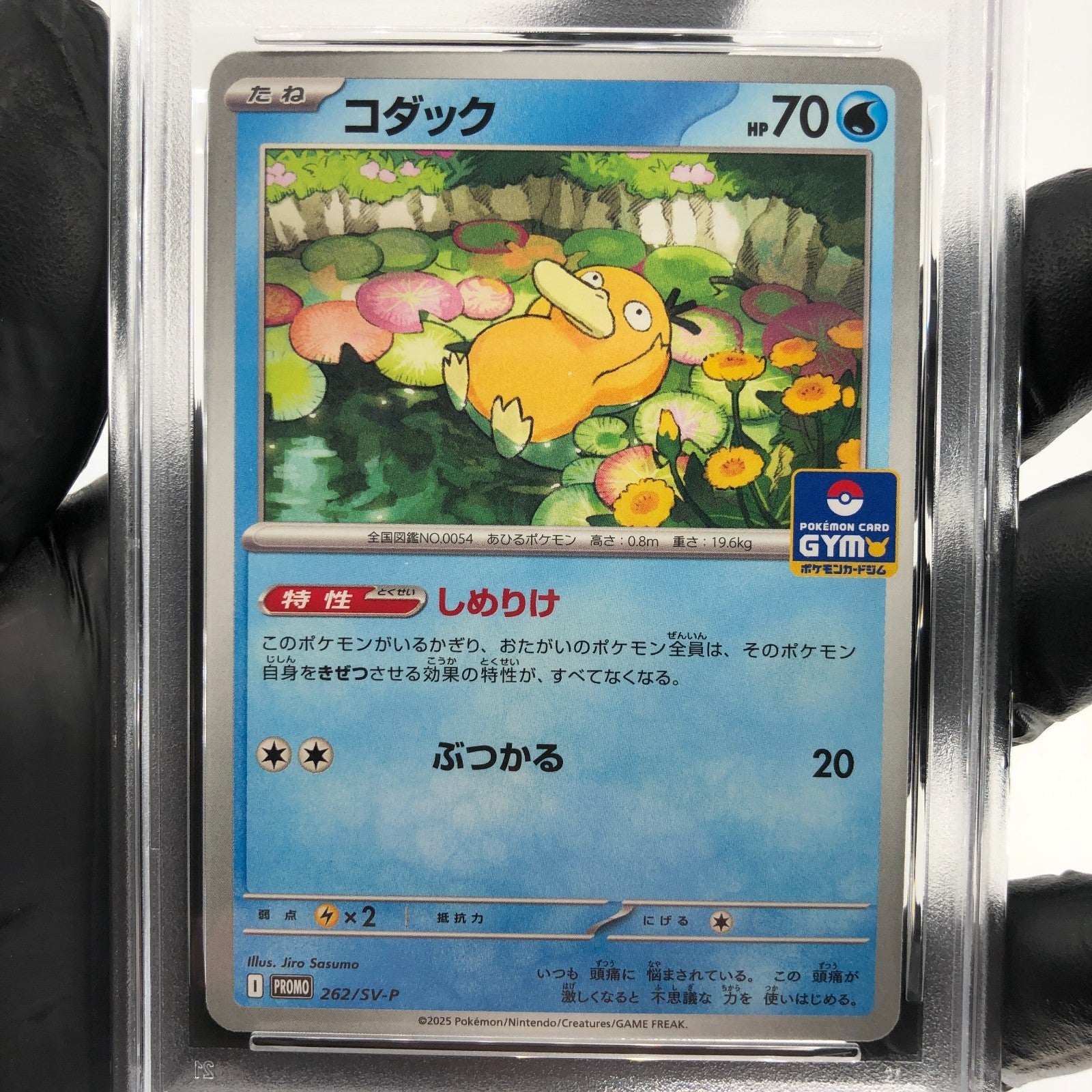 PSA 9 Pokemon Card Psyduck 262/SV-P Gym Promo 2025 Japanese Karte