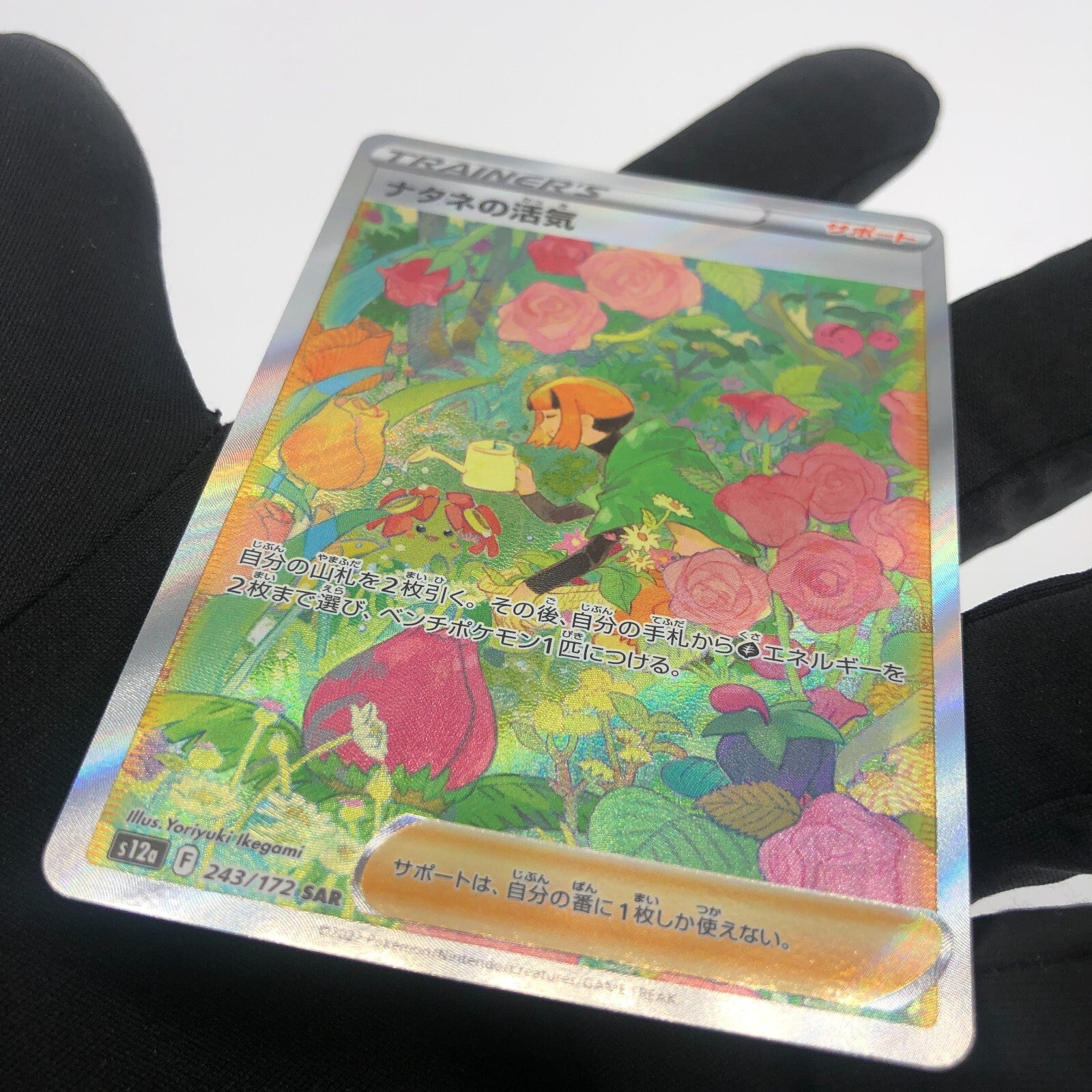 Pokemon Card  Gardenia's Vigor 243/172  SAR s12a Japanese Karte [Mint]