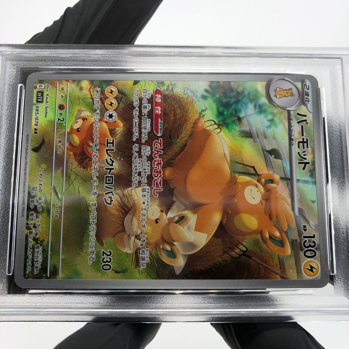 PSA 8 Pokemon Card Pawmot 085/078 AR SV1V Japanese Karte [8]