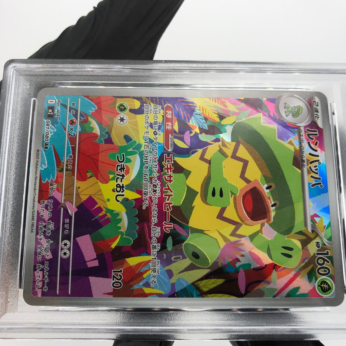 PSA 10 Pokemon Card Ludicolo 081/080 AR M2 Japanese Karte [10]