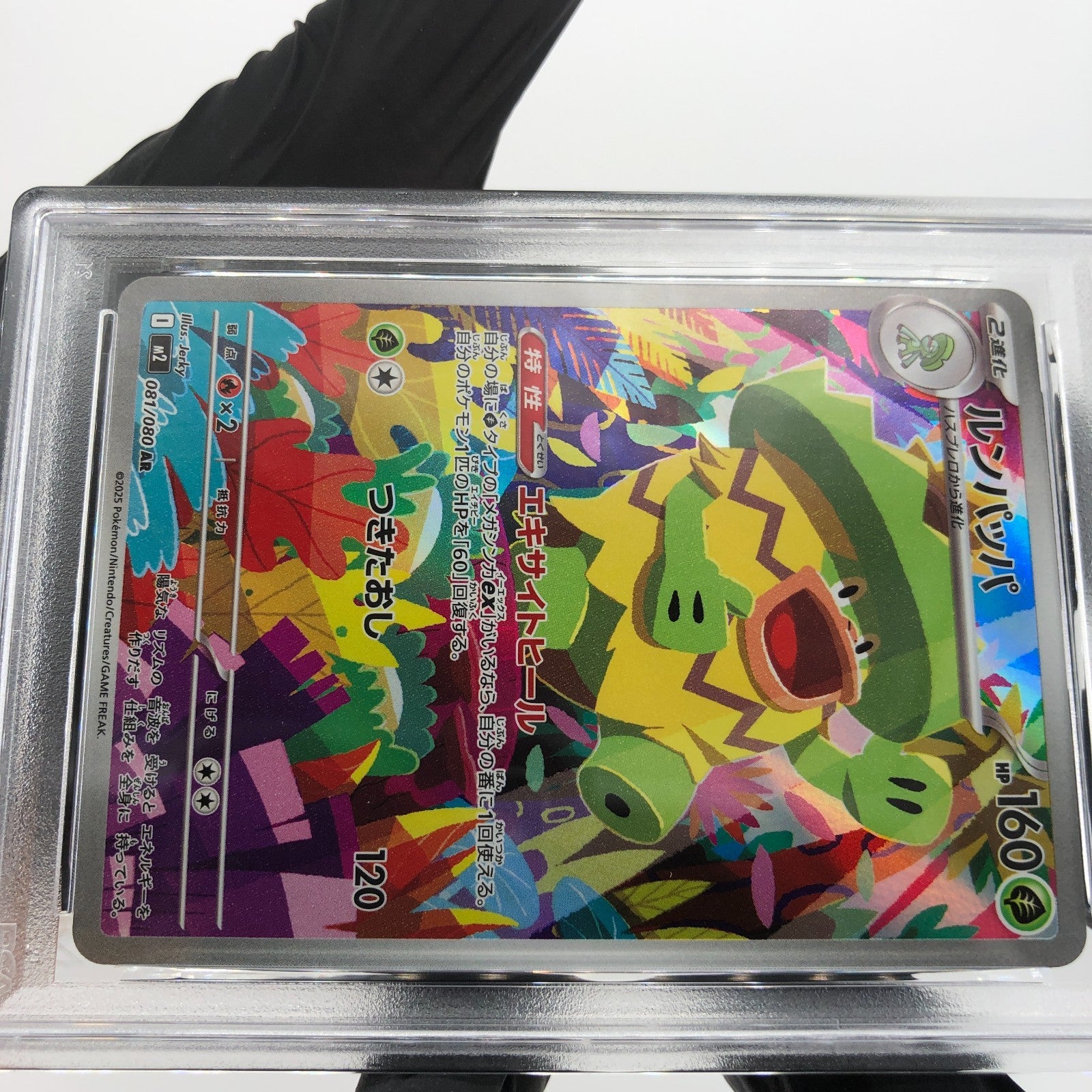 PSA 10 Pokemon Card Ludicolo 081/080 AR M2 Japanese Karte [10]