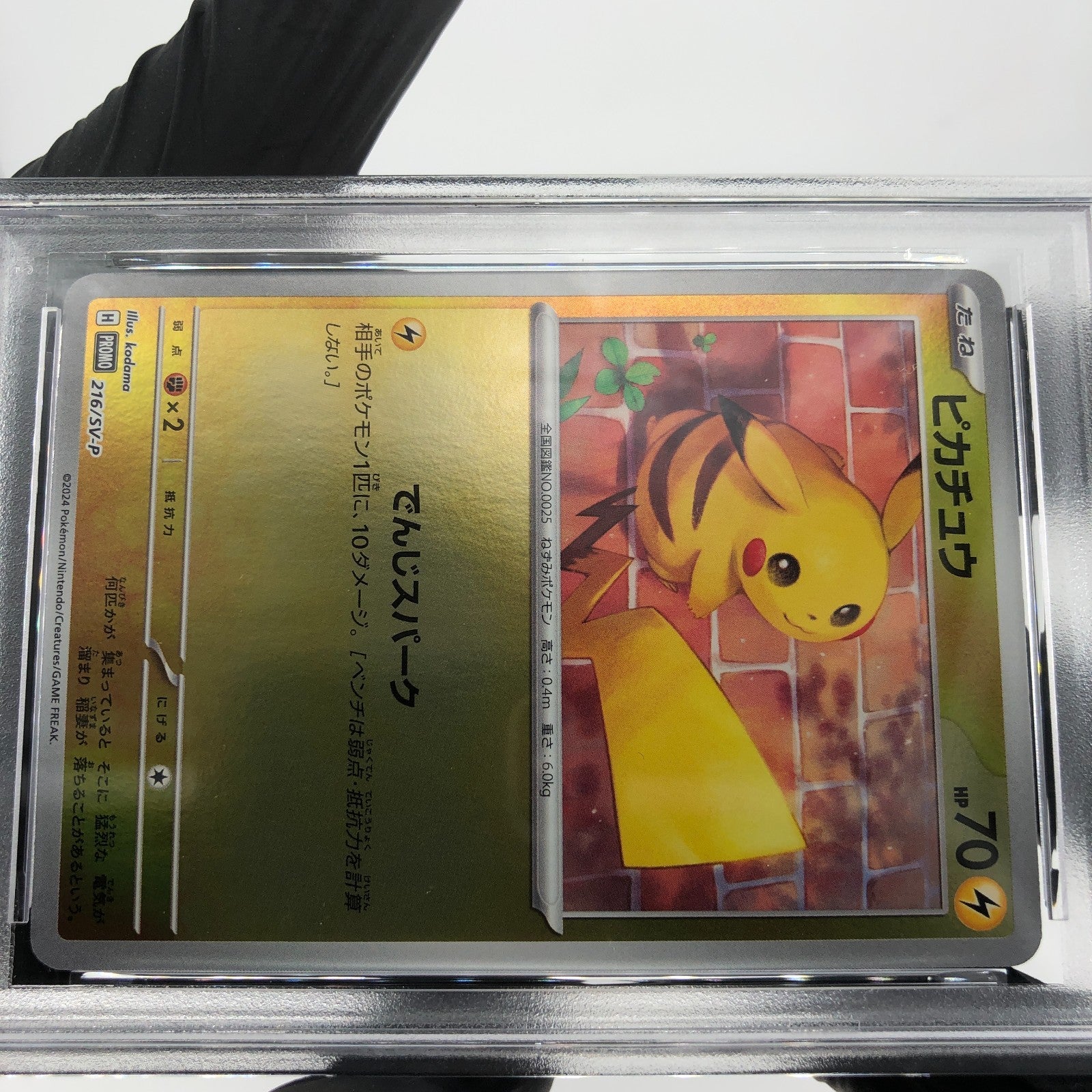 PSA 8 Pokemon Card Pikachu 216/SV-P Summer Promo Japanese Karte [8]