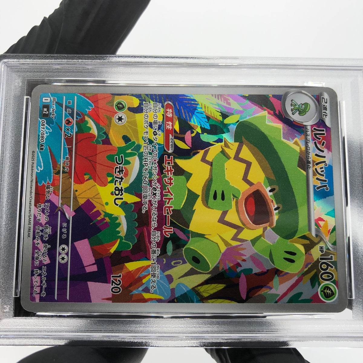 PSA 8 Pokemon Card Ludicolo 081/080 AR M2 Japanese Karte [8] 2