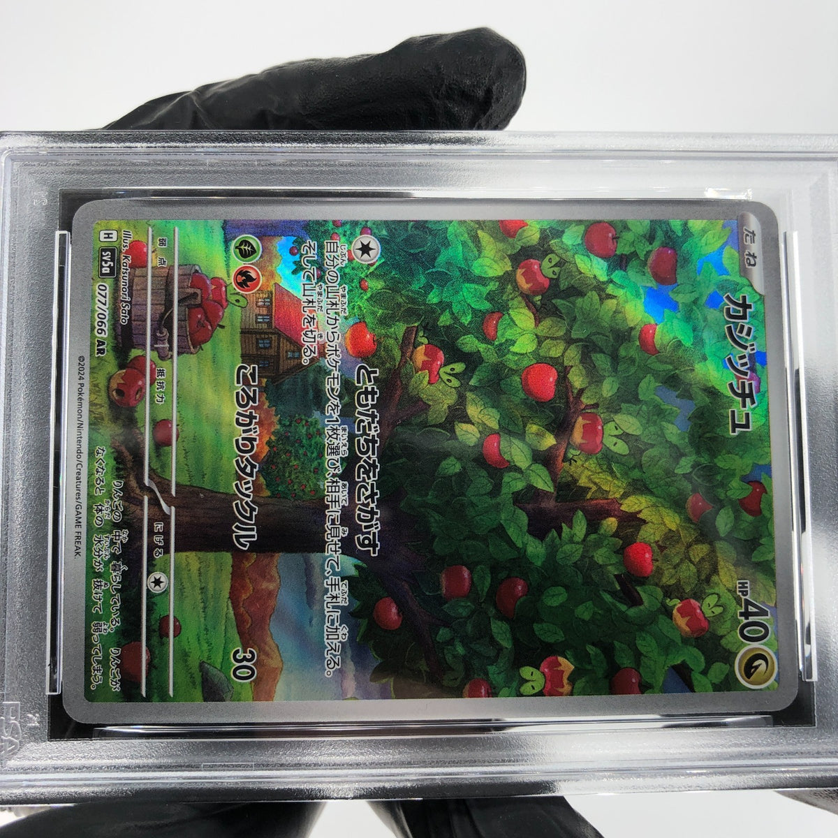 PSA 9 Pokemon Card Applin 077/066 AR SV5a Japanese Karte [9]