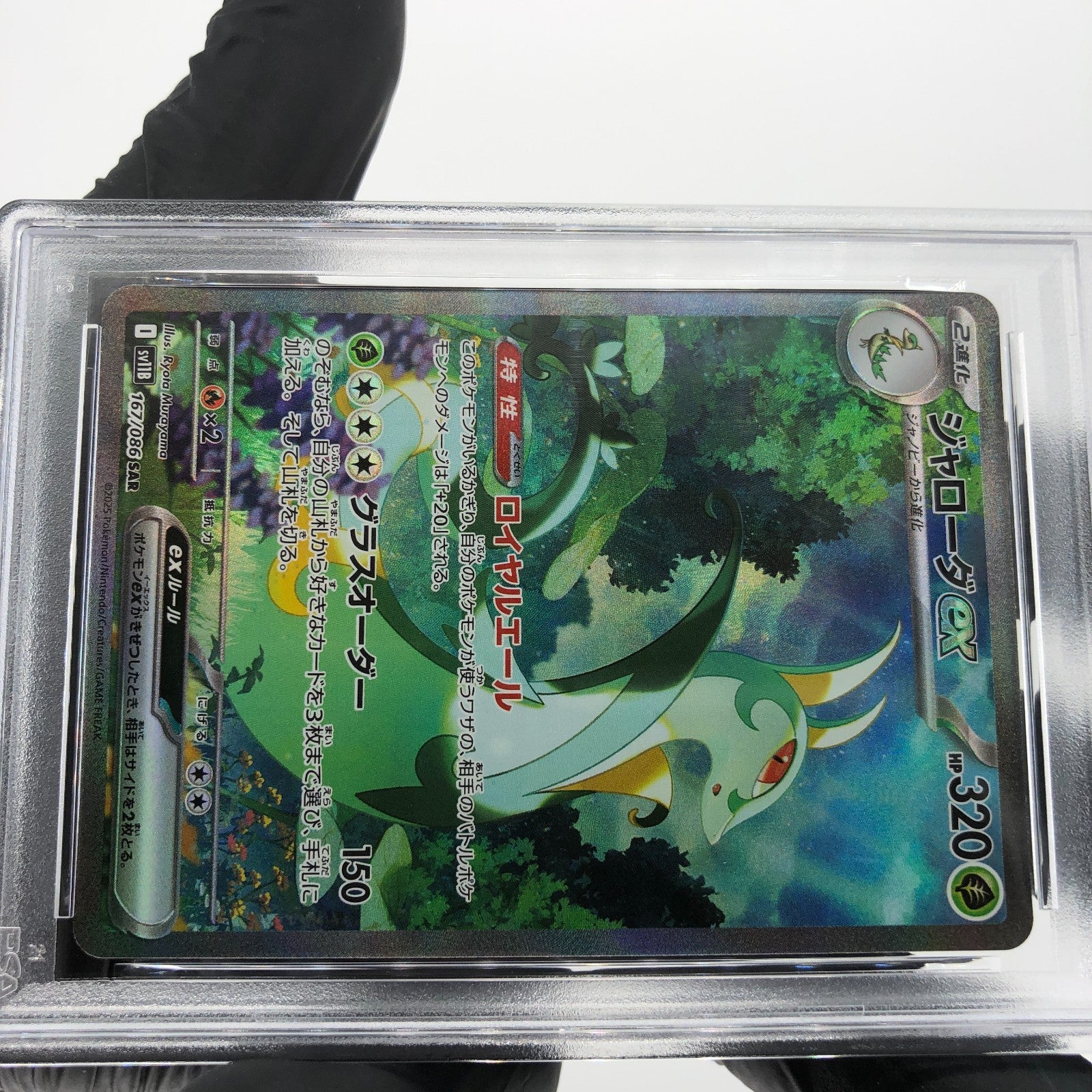 PSA 10 Pokemon Card Serperior 167/086 SAR SV11B Japanese Karte [10] 3