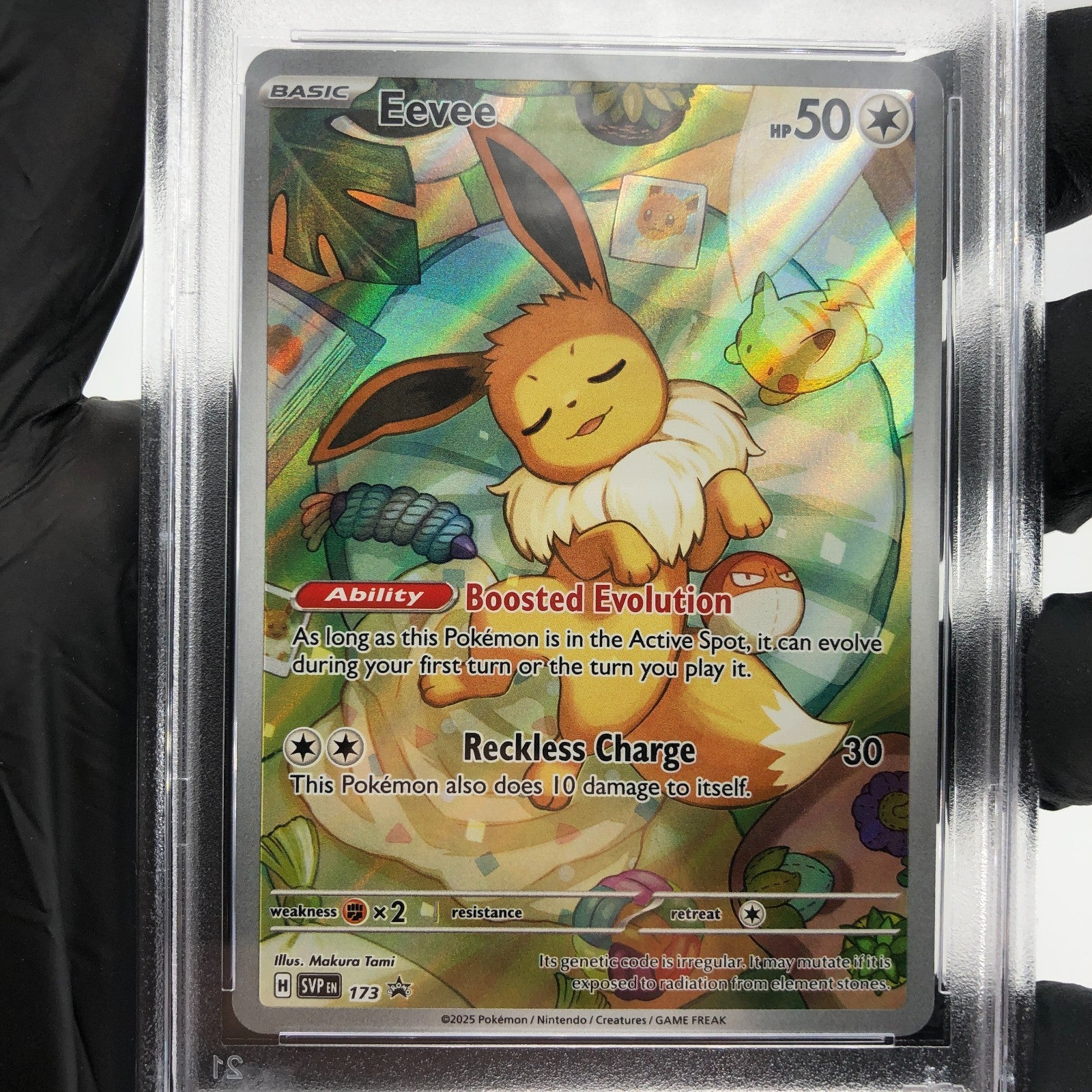 PSA 9 Pokemon Card Eevee 173 AR ETB SVP Promo English Karte [9]