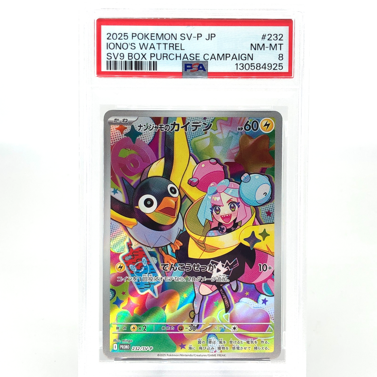 PSA 8 Pokemon Card Ionos Wattrel 232/SV-P  Promo Japanese Karte [8]