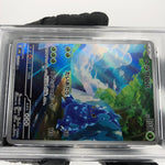 PSA 9 Pokemon Card Heracross 072/071 AR SV2D Japanese Karte [9]