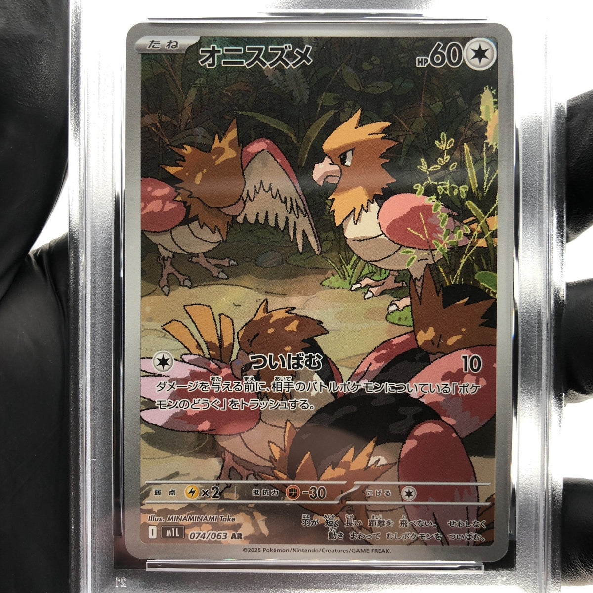 PSA 8 Pokemon Card Flapple 074/064 AR SV7a  Japanese Karte [8] 2