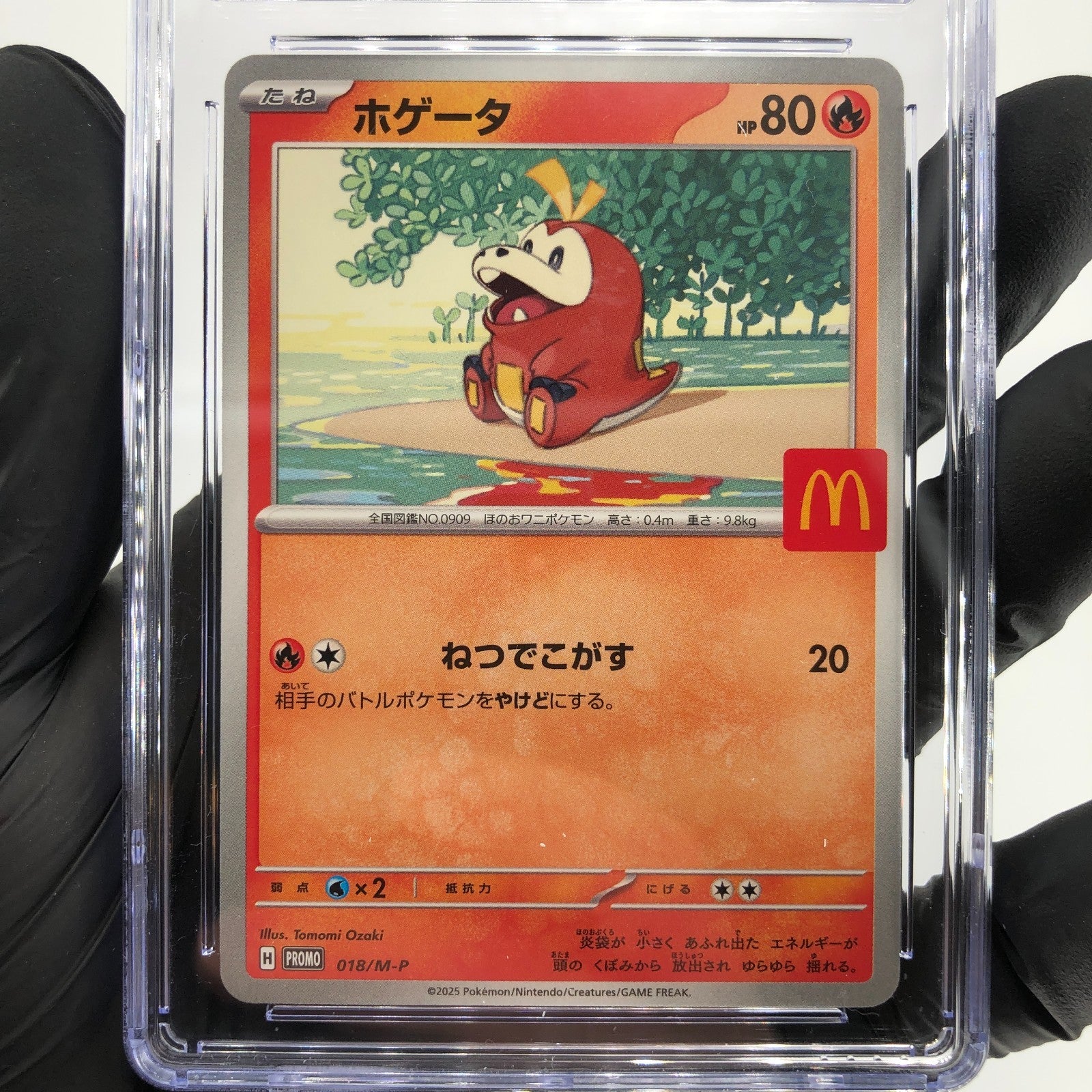 CGC 9 Pokemon Card Fuecoco 018/M-P McDOnalds Promo Japanese Karte [9]