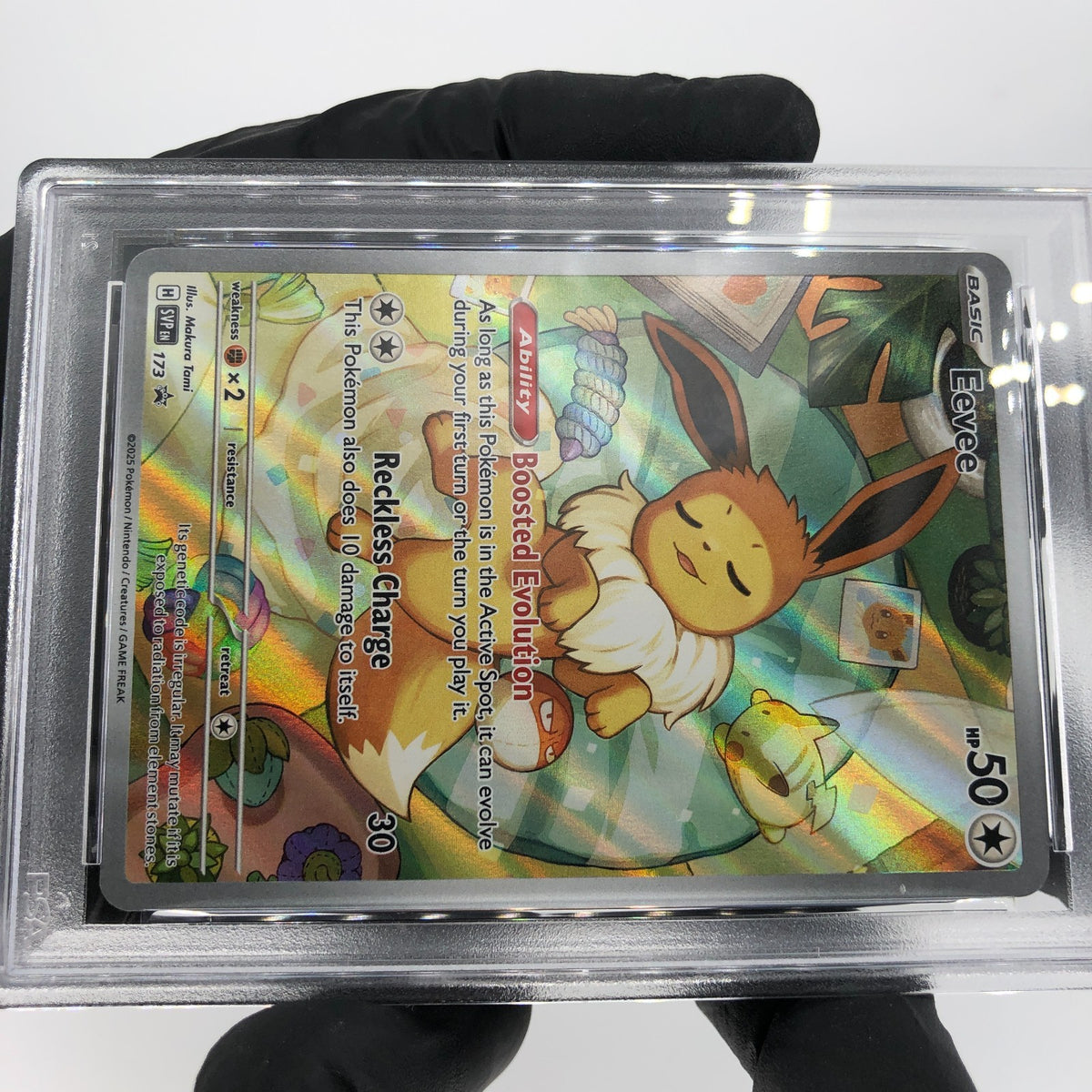 PSA 8 Pokemon Card Eevee 173 SVP Promo ETB English Karte [8]