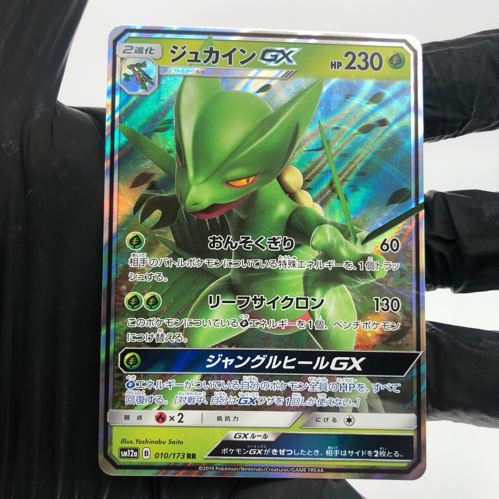 Pokemon Card Sceptile GX 010/173 sm12a japanese Karte [Mint]
