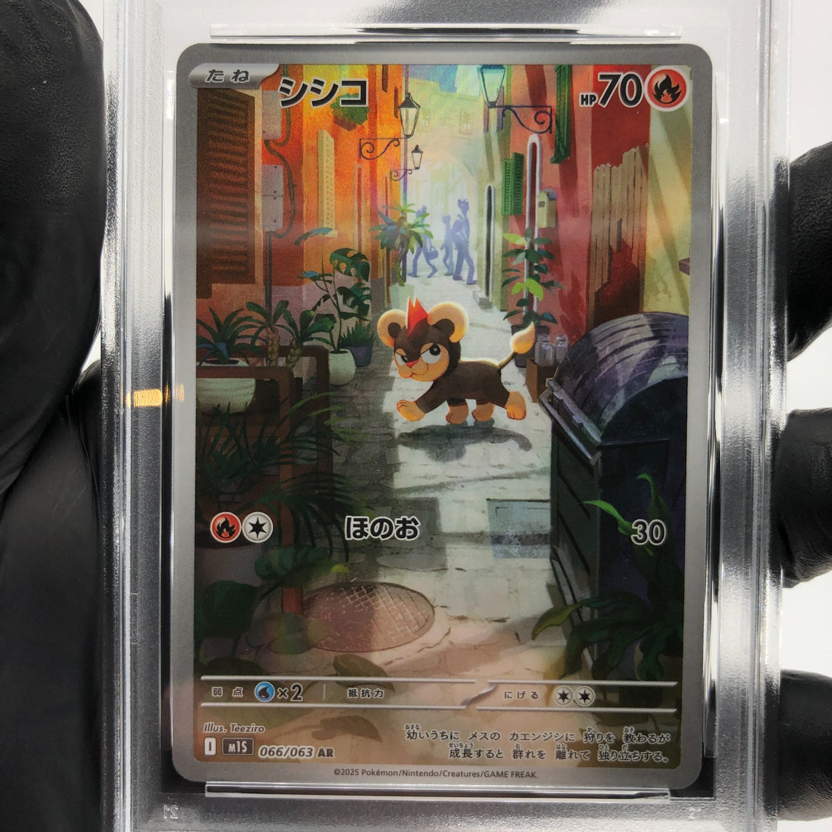 PSA 10 Pokemon Card Litleo 066/063 AR M1S Japanese Karte [10]