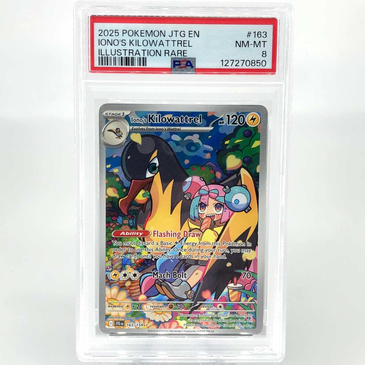 PSA 8 Pokemon Card Ionos Kilowattrel 163/159 AR JTG English Karte [8]