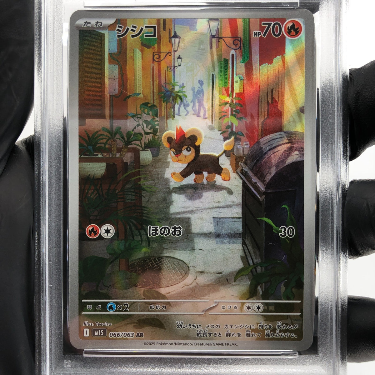 PSA 10 Pokemon Card Litleo 066/063 AR M1S Japanese Karte [10] 3