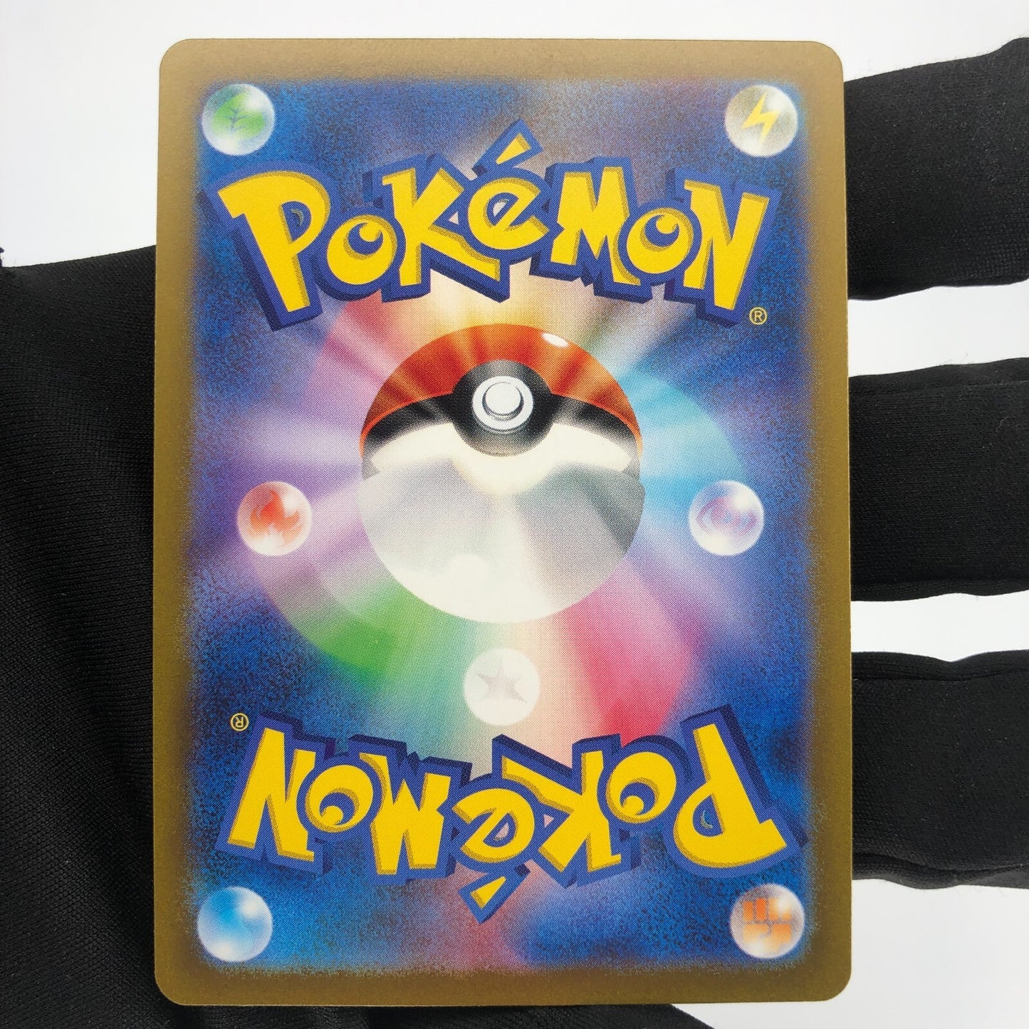 Pokemon Card Blastoise Ex 009/165 RR SV2a japanese Karte [Mint]