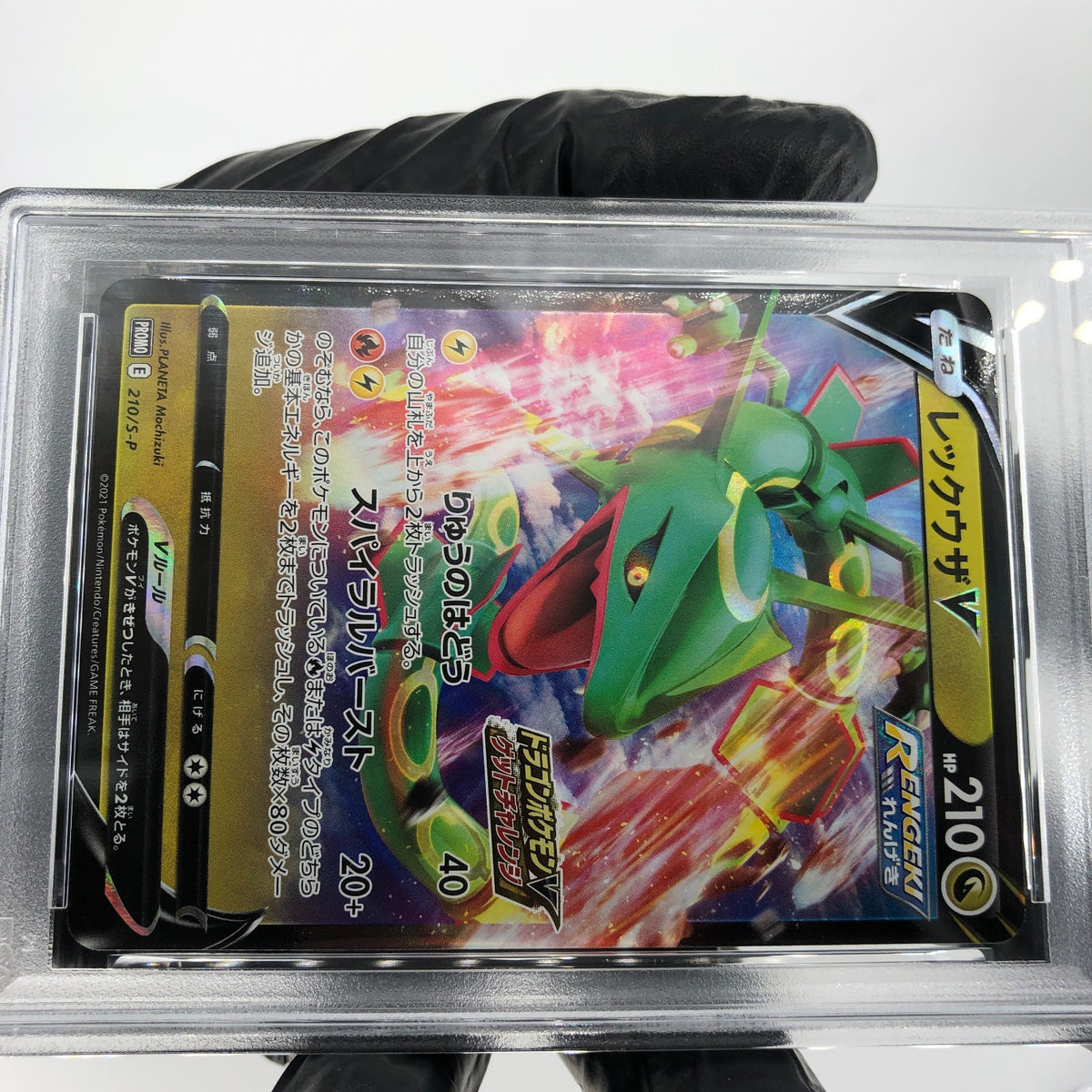 PSA 8 Pokemon Card Rayquaza 210/S-P Promo  Japanese Karte [8]
