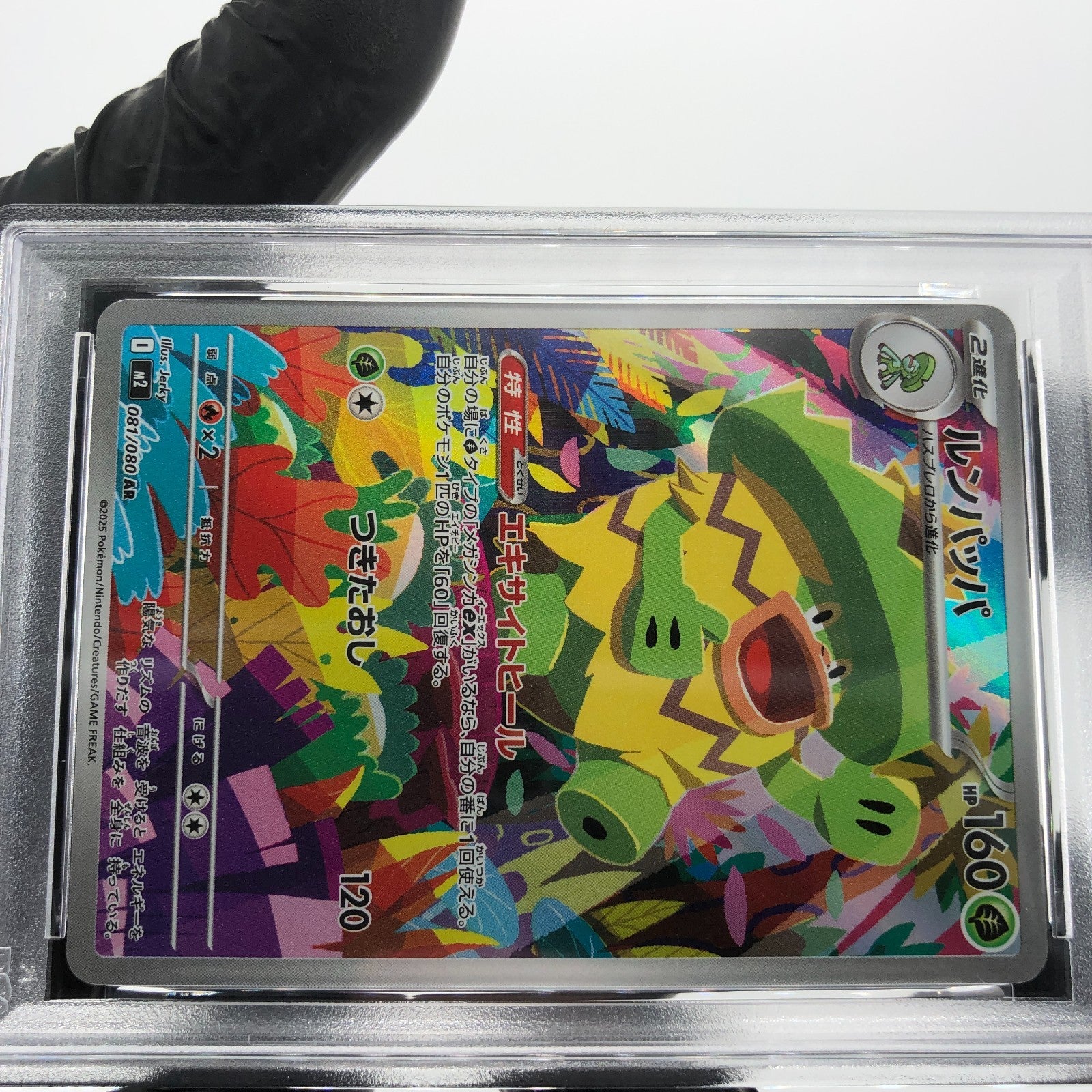 PSA 9 Pokemon Card Ludicolo 081/080 AR M2 Japanese Karte [9]