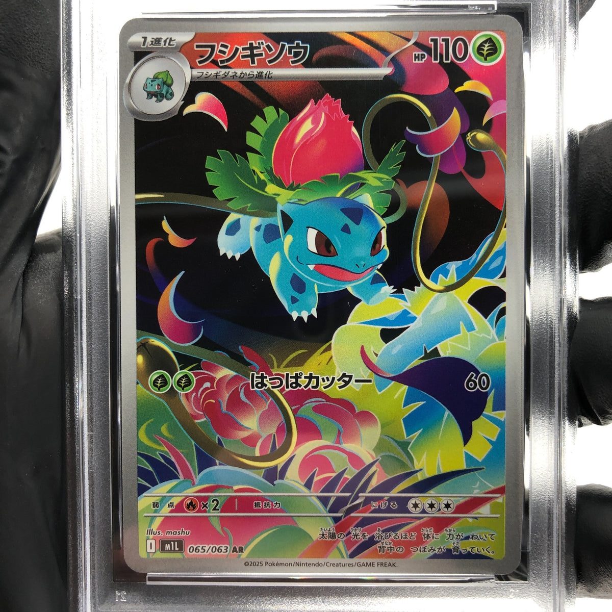 PSA 8 Pokemon Card Ivysaur 065/063 AR M1L Japanese Karte [8]