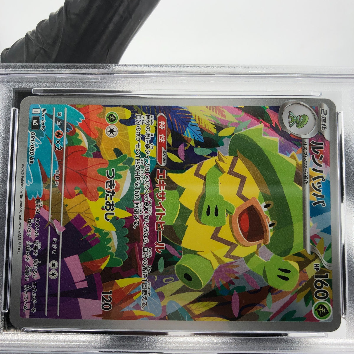 PSA 9 Pokemon Card Ludicolo 081/080 AR M2 Japanese Karte [9]