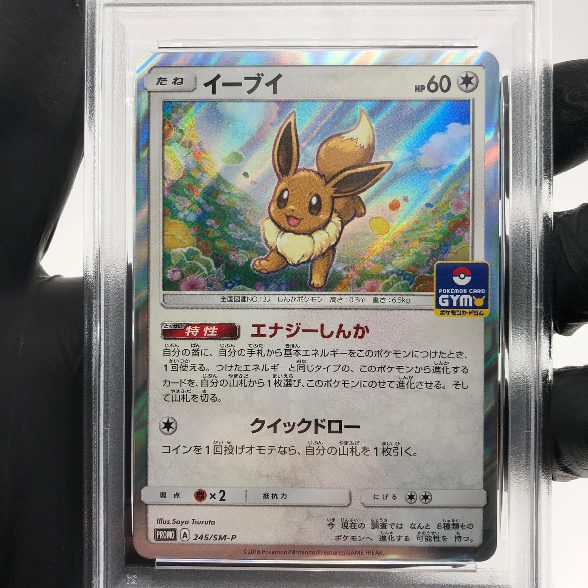 PSA 9 Pokemon Card Eevee 245/SM-P Promo Gym Holo Japanese Karte [9]