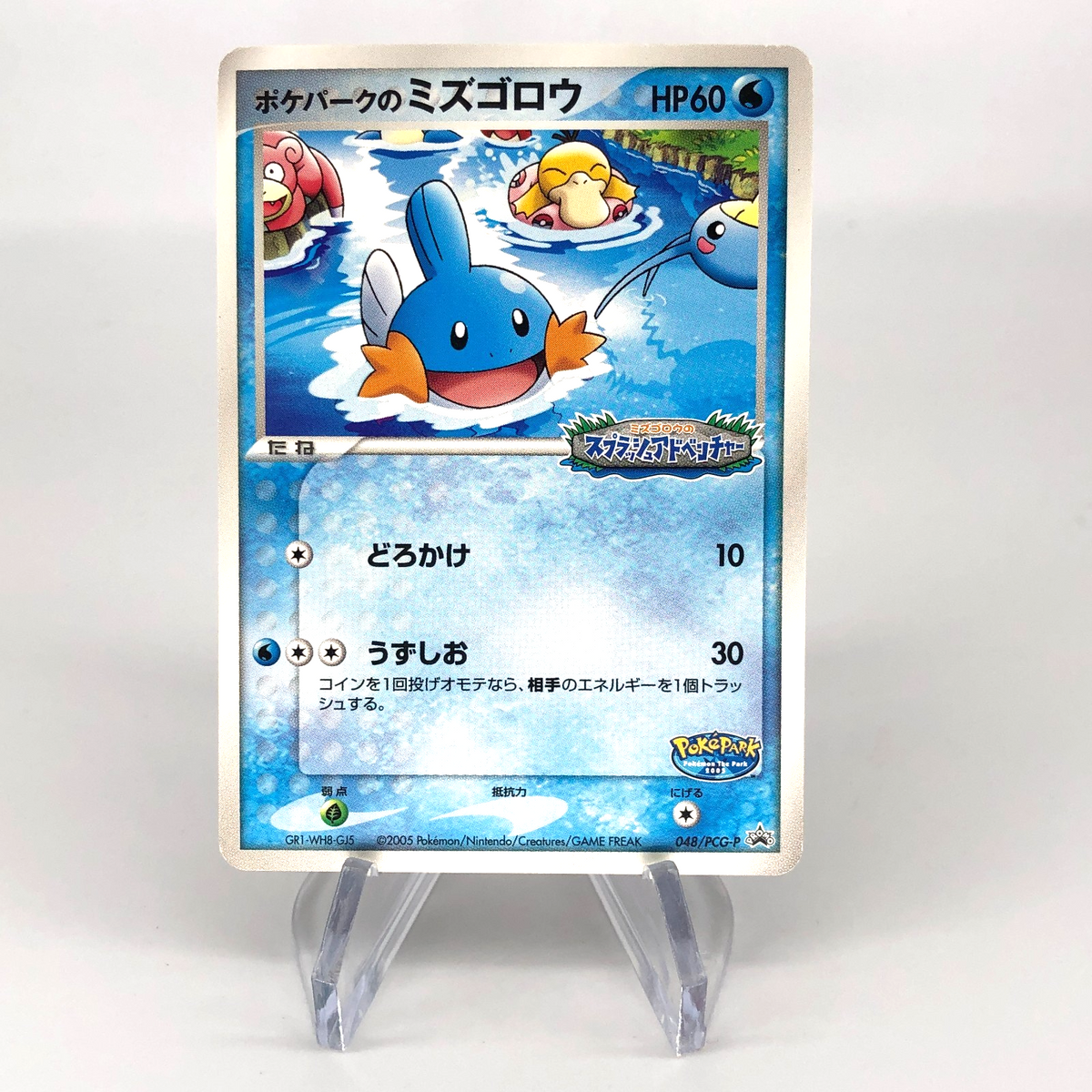 Pokemon Card Mudkip 048/PCG-P Pokepark Promo 2005 Japanese Karte [NM]