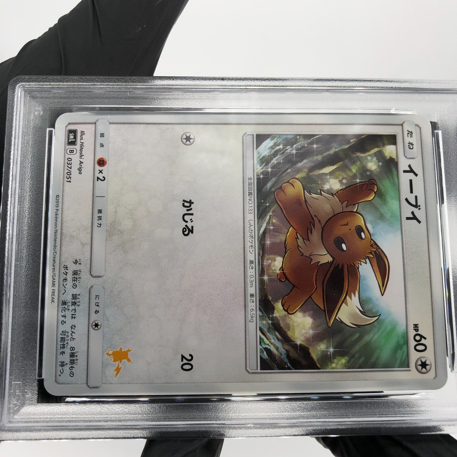 PSA 9 Pokemon Card Eevee 037/051 SML 2019 Japanese Karte [9]