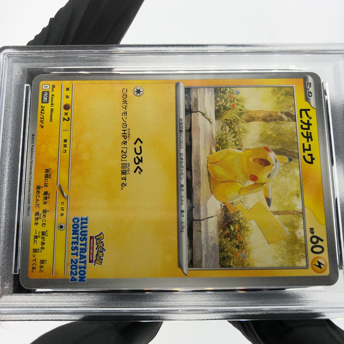 PSA 9 Pokemon Card Pikachu 242/SV-P Illustration Promo Japanese Karte [9]
