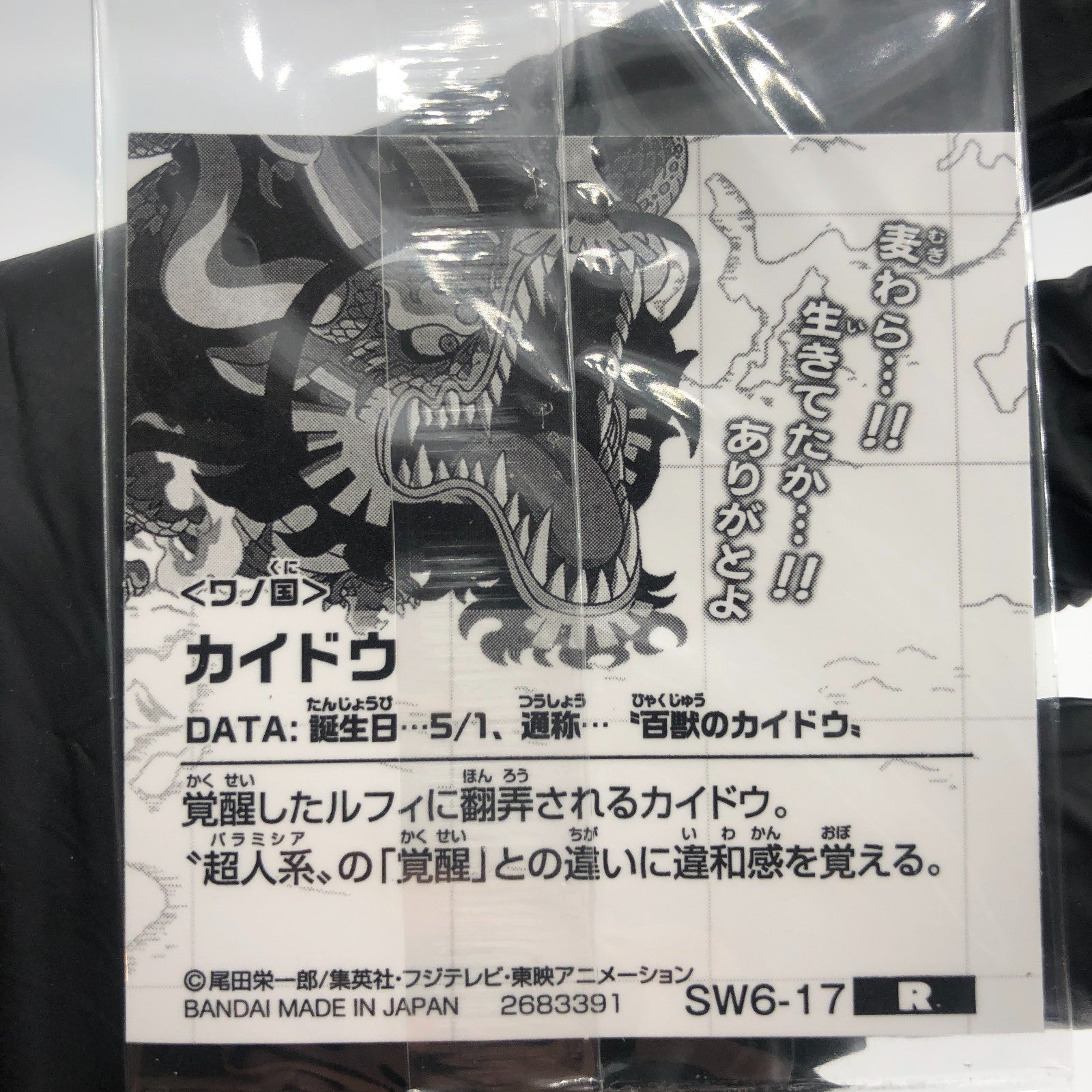 One Piece Kaido SW6-17 R Holo Wafer  Japanese [Sealed]