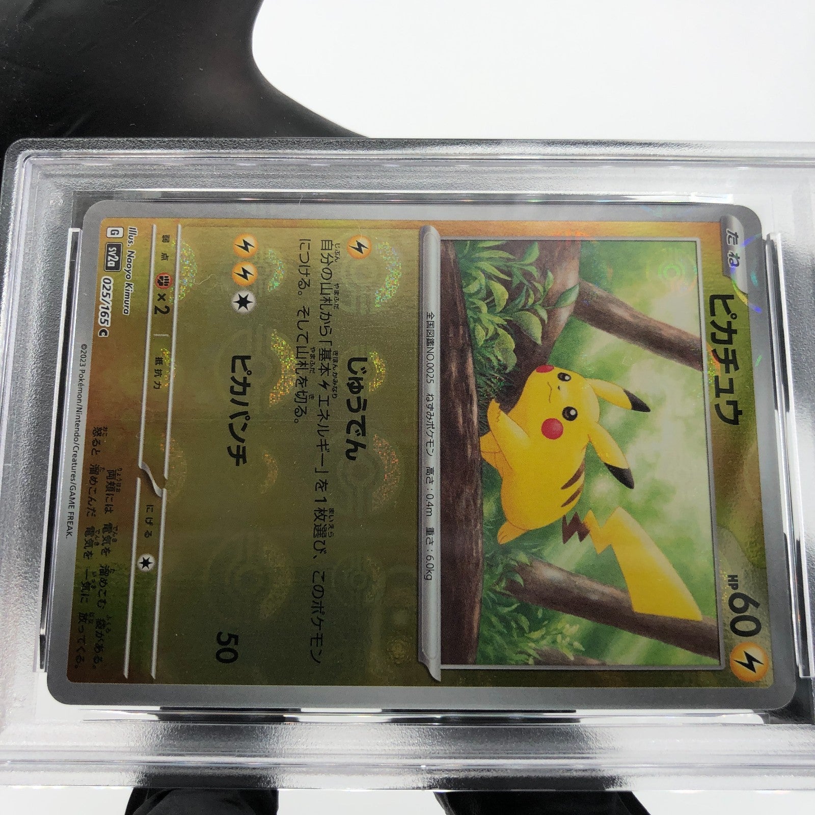 PSA 9 Pokemon Card Pikachu 025/165 C Pokeball SV2a Japanese Karte [9]