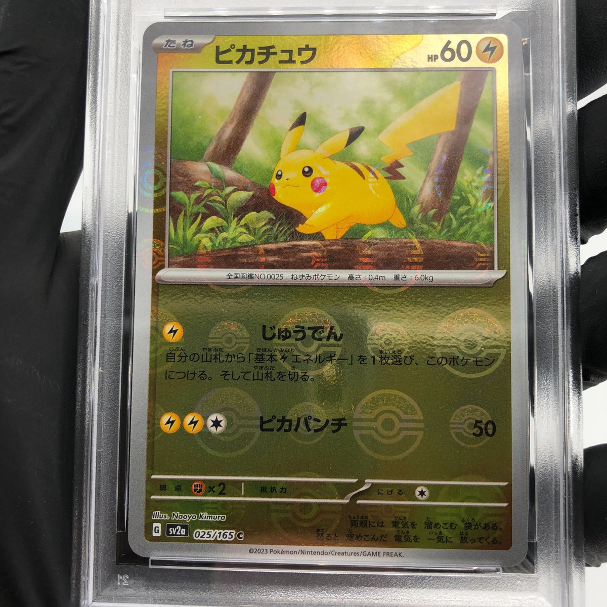 PSA 9 Pokemon Card Pikachu 025/165 C Pokeball SV2a Japanese Karte [9] 2