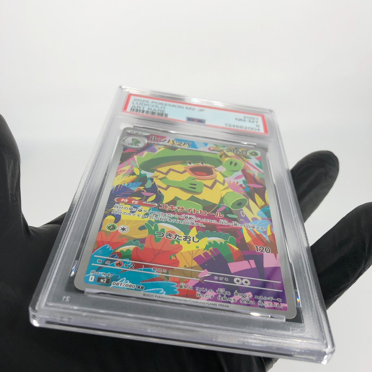 PSA 8 Pokemon Card Ludicolo 081/080 AR M2 Japanese Karte [8]