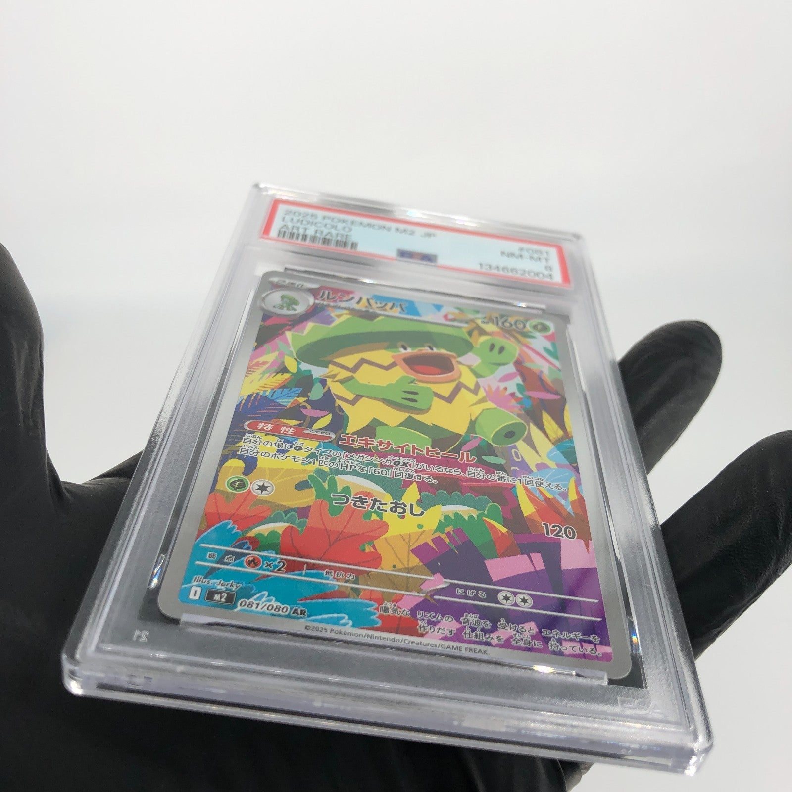 PSA 8 Pokemon Card Ludicolo 081/080 AR M2 Japanese Karte [8]