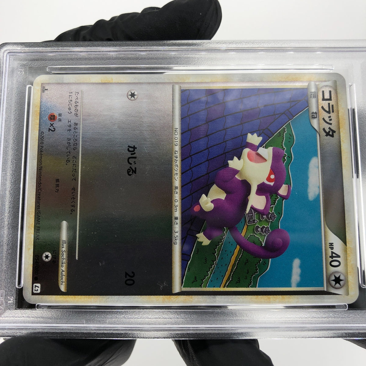 PSA 8 Pokemon Card Rattata 054/080 Reverse Foil L2 1.Edition Japanese Karte [8]
