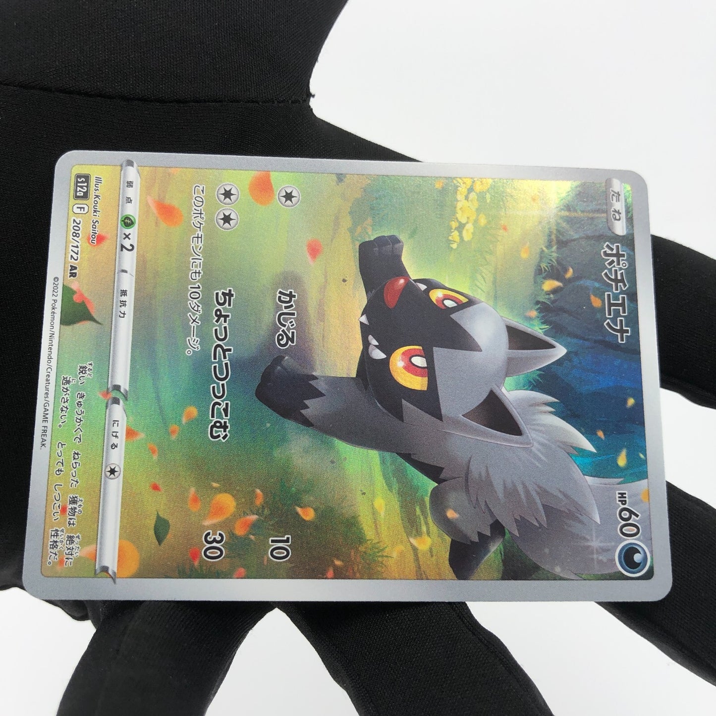 Pokemon Card Poochyena 208/172 AR s12a Full Art Foil Japanese Karte [Mint]