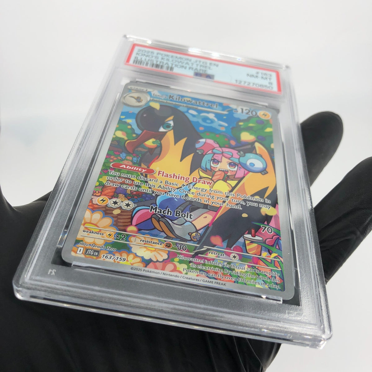 PSA 8 Pokemon Card Ionos Kilowattrel 163/159 AR JTG English Karte [8]
