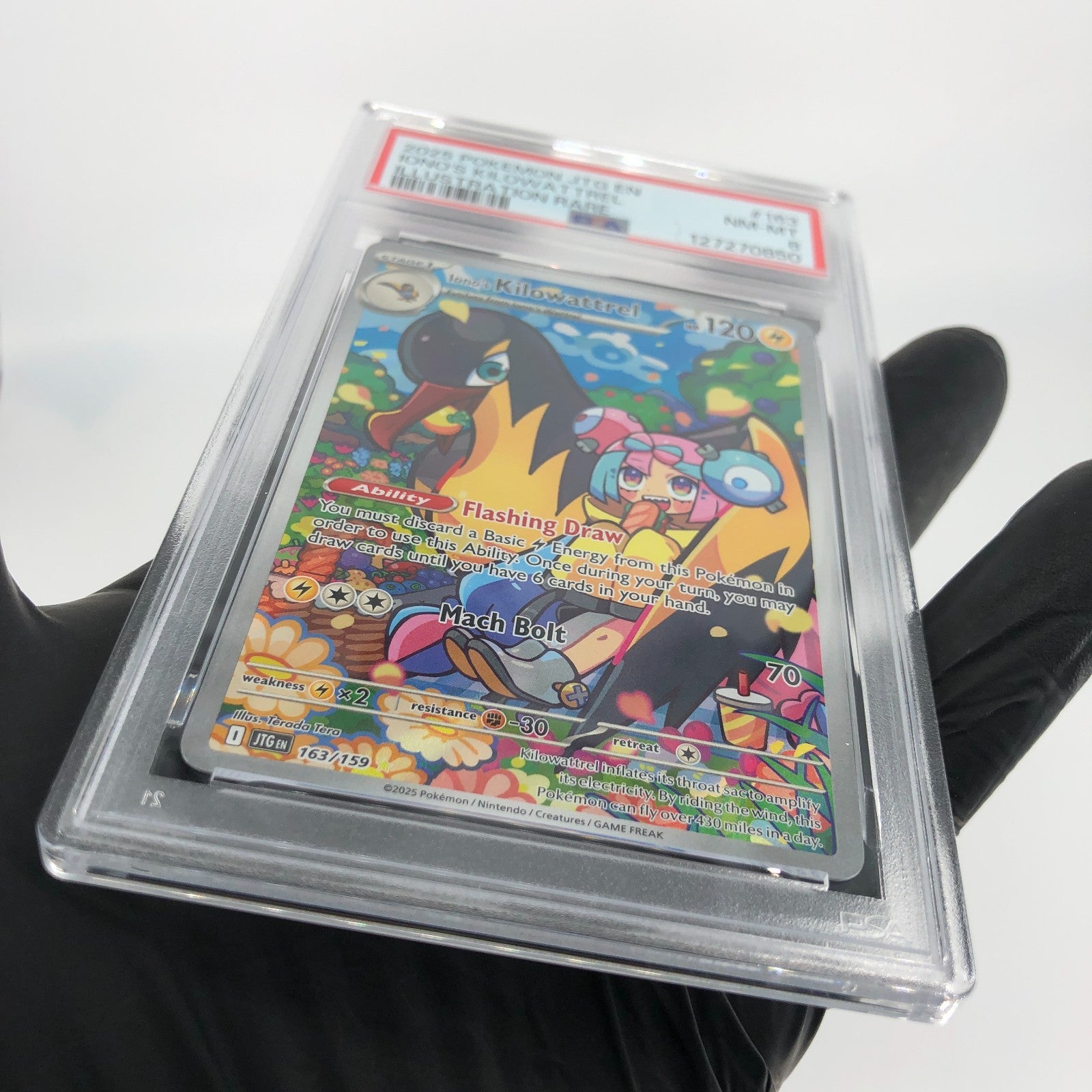 PSA 8 Pokemon Card Ionos Kilowattrel 163/159 AR JTG English Karte [8]