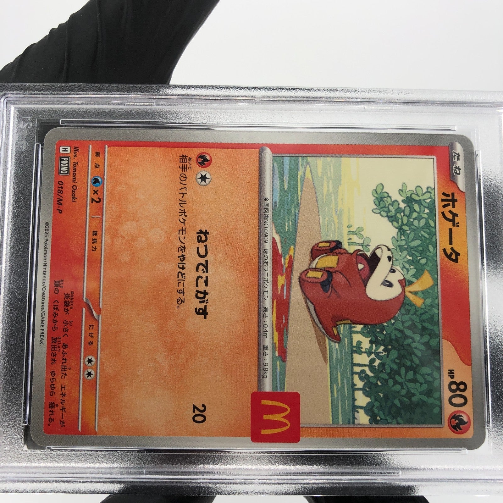 PSA 9 Pokemon Card Fuecoco 018/M-P McDOnalds Promo Japanese Karte [9] 4