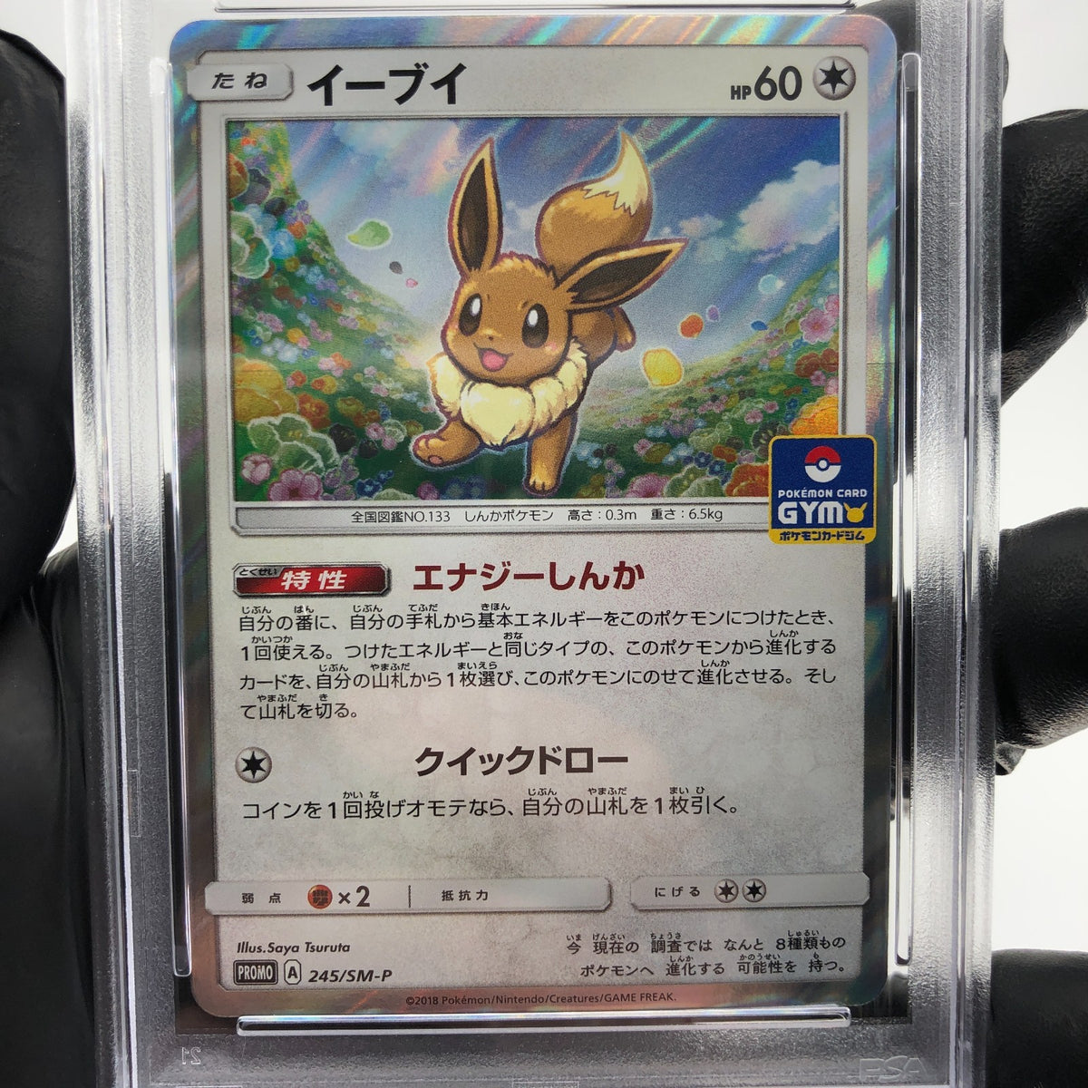 PSA 8 Pokemon Card Eevee 245/SM-P Promo Gym Holo Japanese Karte [8]