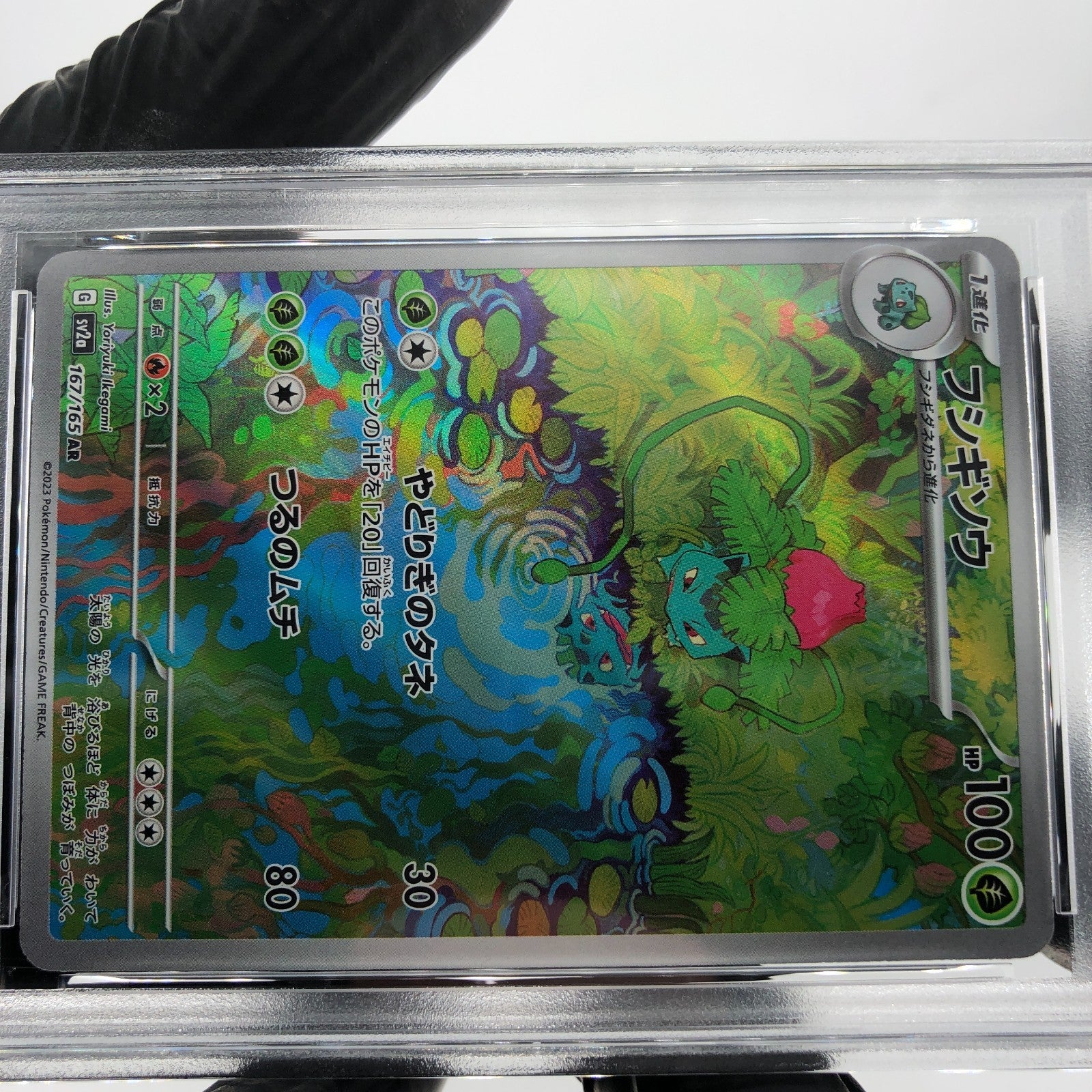PSA 8 Pokemon Card Ivysaur AR 167/165 SV2a Japanese Karte [8]