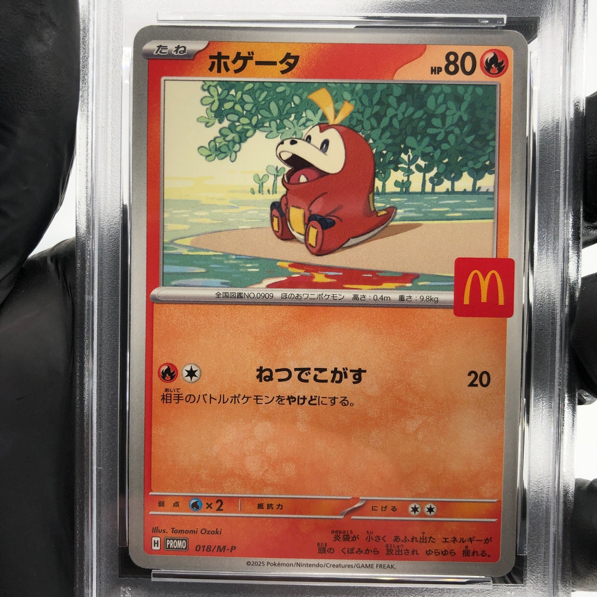 PSA 10 Pokemon Card Fuecoco 018/M-P McDOnalds Promo Japanese Karte [10] 2