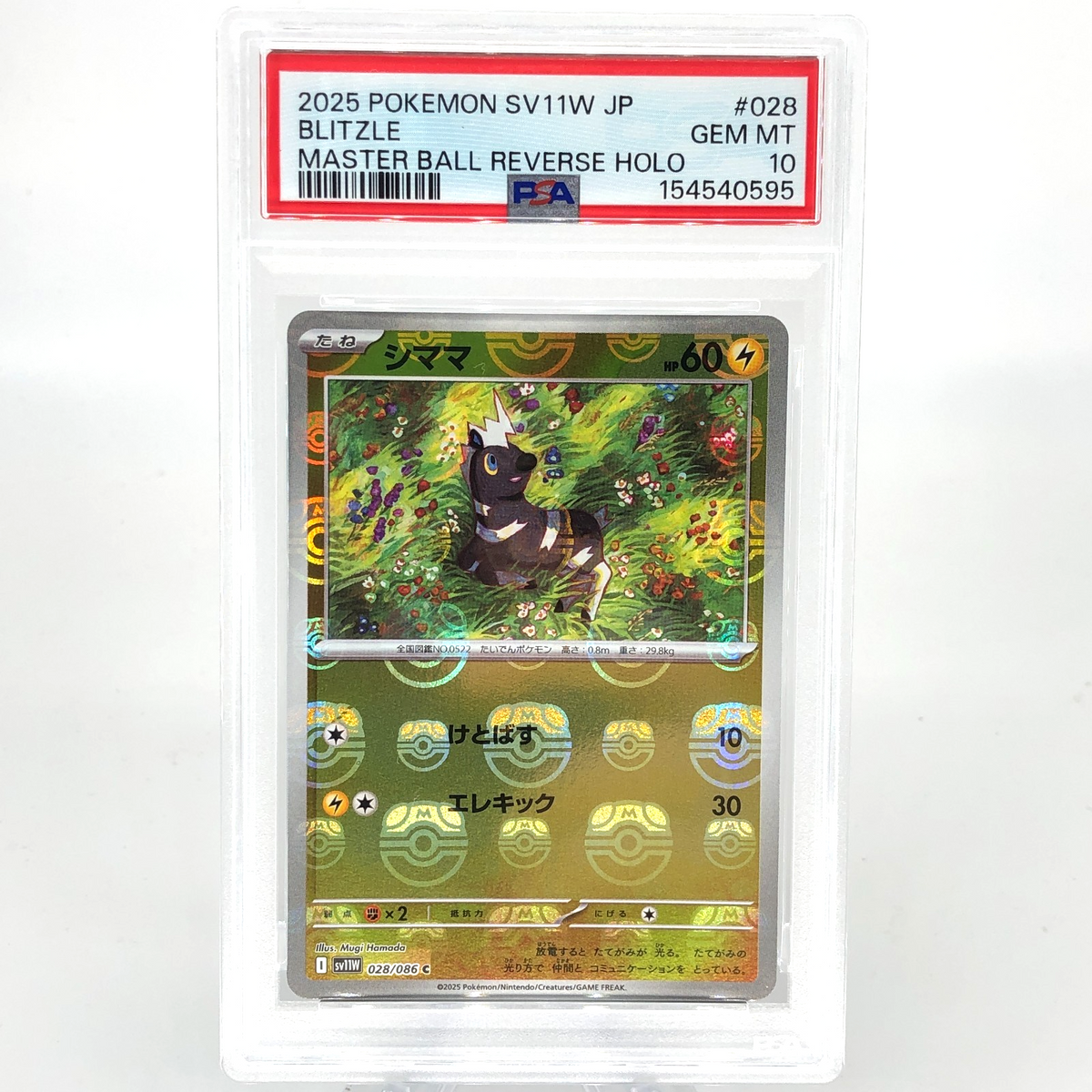 PSA 10 Pokemon Card Blitzle 028/086 C Masterball SV11W Japanese Karte [10]