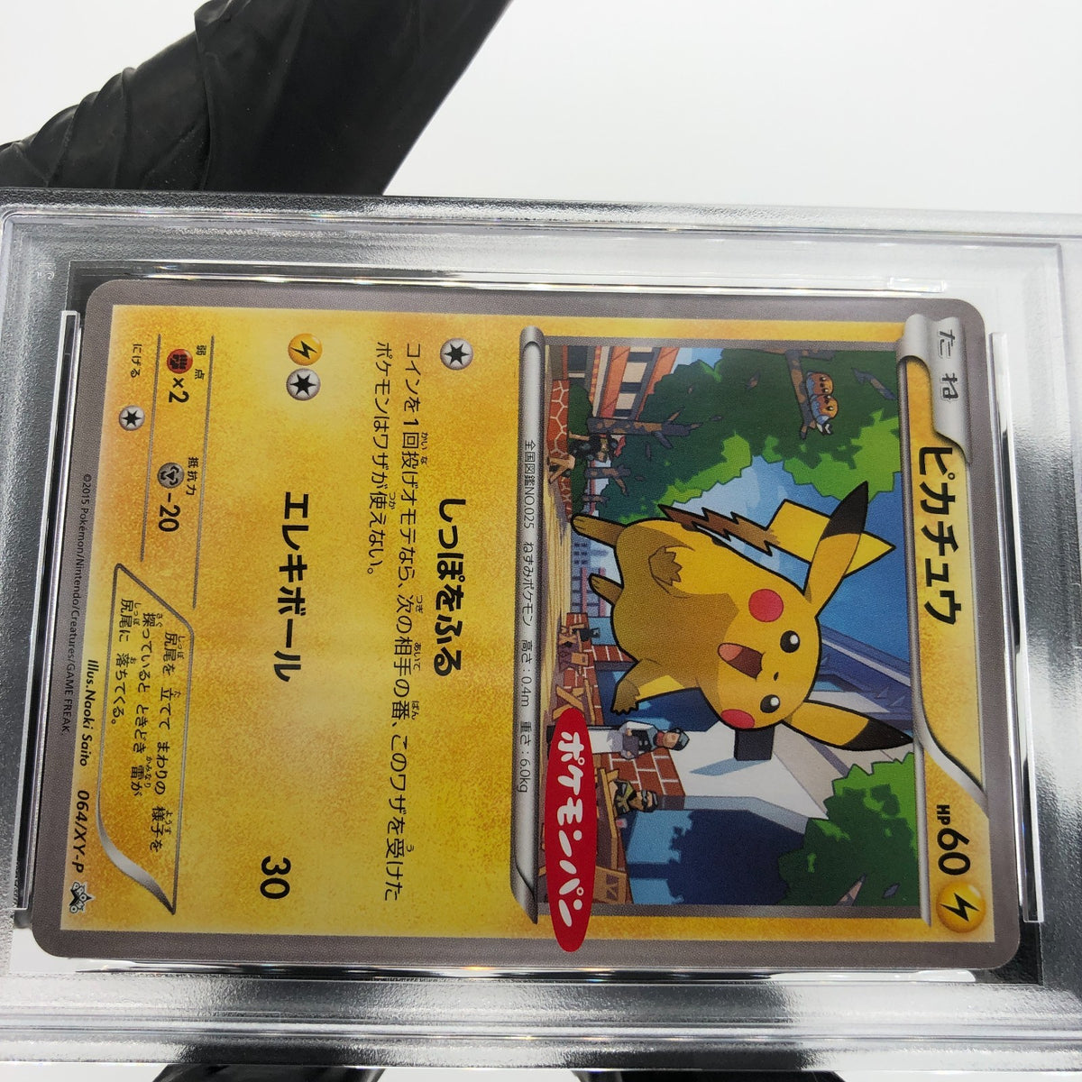 PSA 9 Pokemon Card Pikachu 064/XY-P Daiichi Pan Promo Japanese Karte [9]