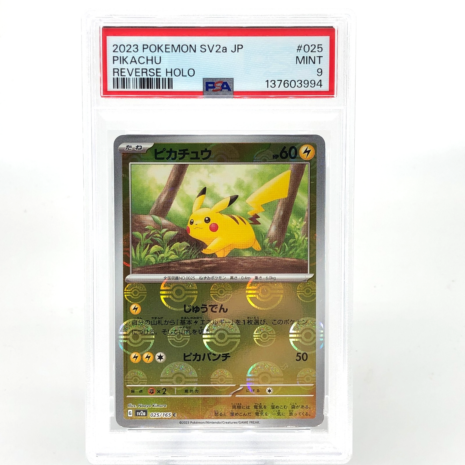 PSA 9 Pokemon Card Pikachu 025/165 C Pokeball SV2a Japanese Karte [9]
