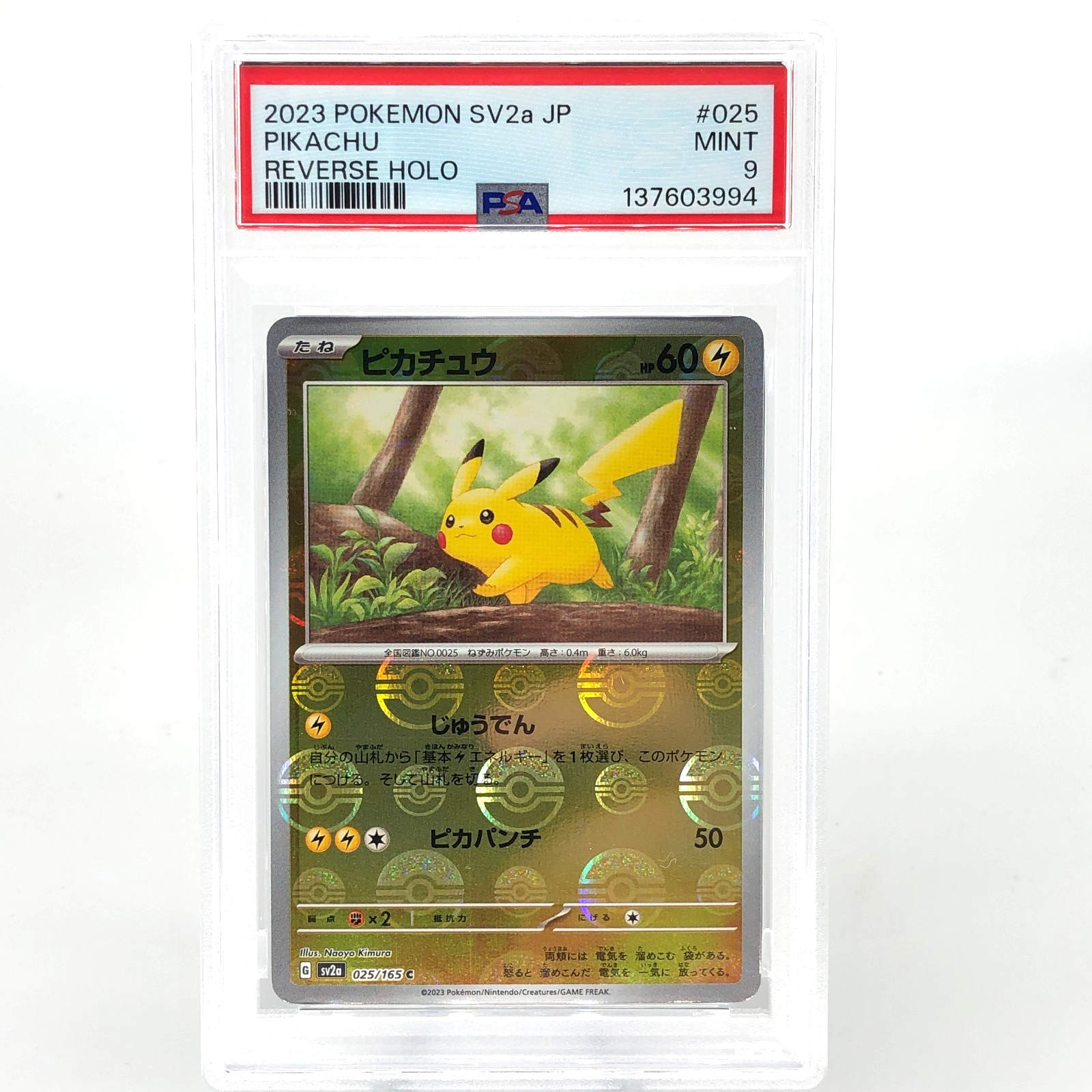 PSA 9 Pokemon Card Pikachu 025/165 C Pokeball SV2a Japanese Karte [9]