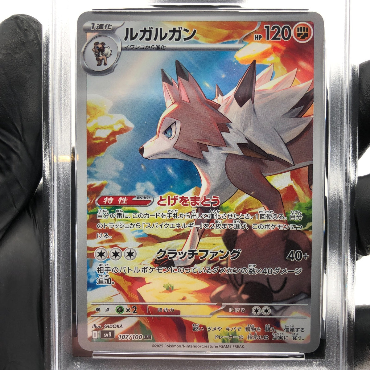 PSA 9 Pokemon Card Lycanroc 107/100 AR SV9 Japanese Karte [9]