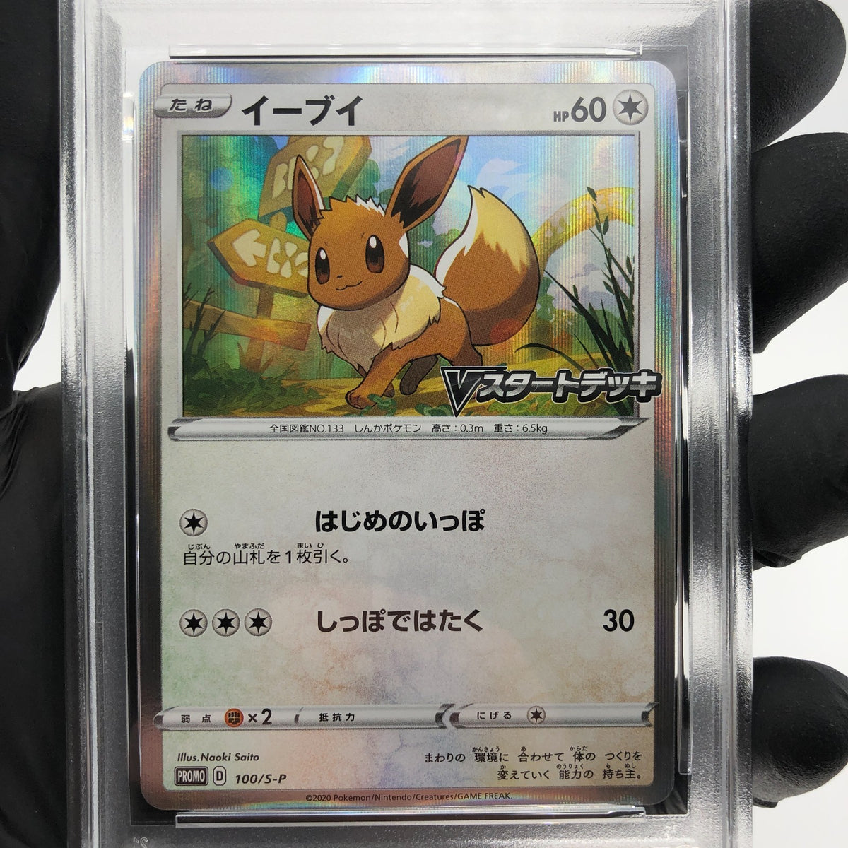 PSA 9 Pokemon Card Eevee 100/S-P Promo Holo Japanese Karte [9]