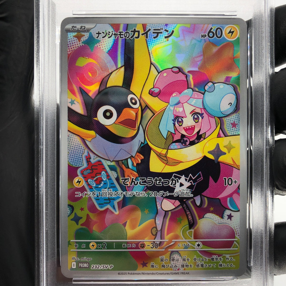 PSA 8 Pokemon Card Ionos Wattrel 232/SV-P  Promo Japanese Karte [8]